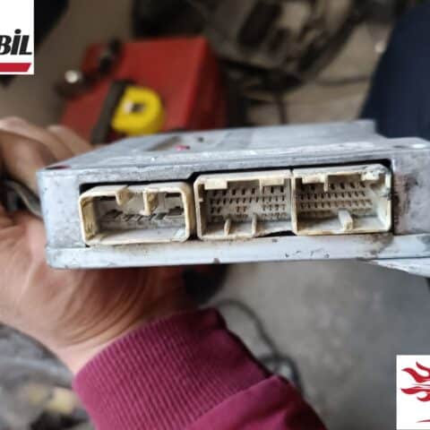 32481111900 Şanzıman Beyni Toyota Corolla Auris Yaris Ecu Otomatik Şanzıman Beyni 324811-11900 8953012290 89530-12290 Toyota Auris Şanzıman Beyni Toyota Corolla Şanzıman Beyni Toyota Yaris Şanzıman Beyni Auris Şanzıman Beyni Corolla Şanzıman Beyni Yaris Şanzıman Beyni Toyota Auris Şanzıman Beyni 32481111900 Toyota Corolla Şanzıman Beyni 324811-11900 Toyota Yaris Şanzıman Beyni 8953012290 Auris Şanzıman Beyni 89530-12290 Corolla Şanzıman Beyni 32481111900 Yaris Şanzıman Beyni 324811-11900